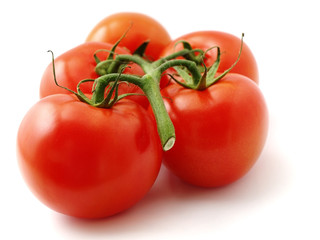 the bunch of tomatoes