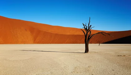 Fototapete Dürre Tote Bäume im Dead Vlei - Sossusvlei, Namib-Wüste, Namibia.