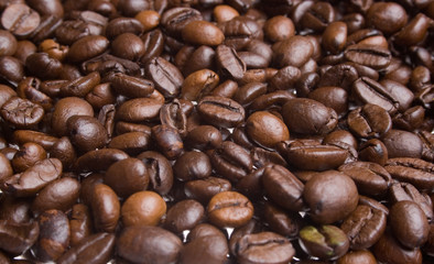 Grain de café