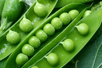 Crédence de cuisine en verre imprimé Légumes green pea