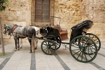 Horses and carriage for sightseeing in Cordova, Spain