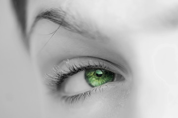 oeil vert regard de femme nature écologie développement durable