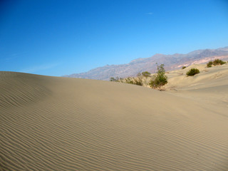 Sand dunes, Death Valley, California