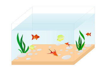 aquarium