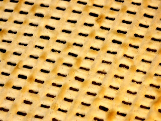 Matzo - macro
