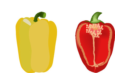 red and Yellow paprika