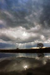 Sun Burst After Storm