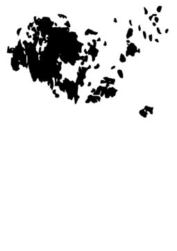 Vector Aland aaland flag map shape