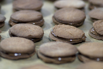 Weihnachts Plätzchen
