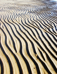 Ripples on sand from a surf