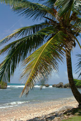 Barbados Ostküste