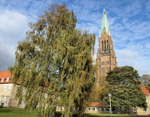 Dom eingebettet zwischen Bäumen