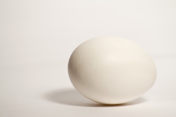 Solitary Egg