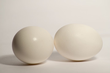 Two Eggs