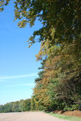 Fototapeta premium Spätsommer