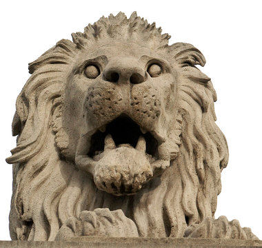 Stone lion from The Chain Bridge. Budapest, Hungary.