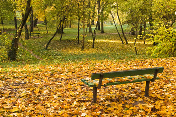 park bench with autumn leaves