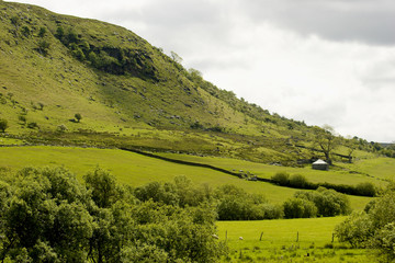 Welsh Hillside