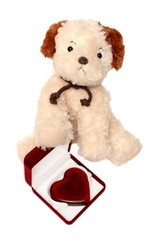 Greeting card - toy dog with heart in a box