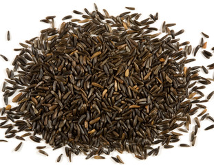 Thistle seed on a white background