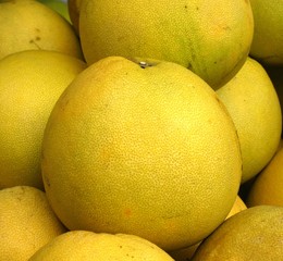 Large Pomelos