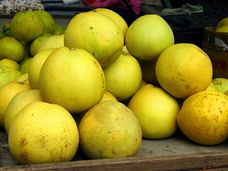 Pomelos for Sale
