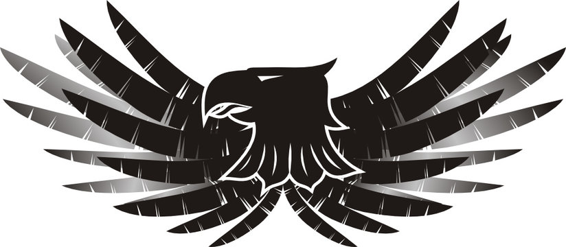 escudo 01