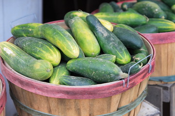 Fresh picked cucumbers in baskets at a road side farm stand
