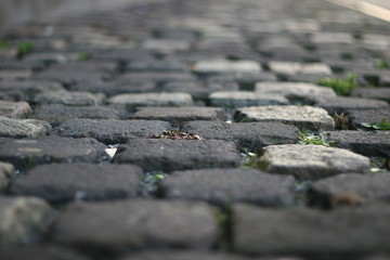 Pflasterstein - Macro