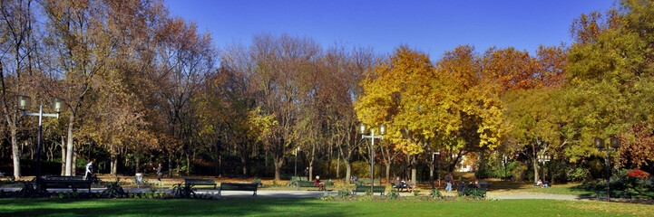 Naklejka premium un parc en automne