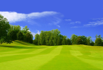 fairway de golf