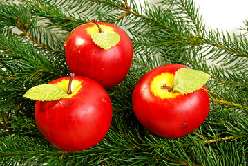 Weihnachtsäpfel