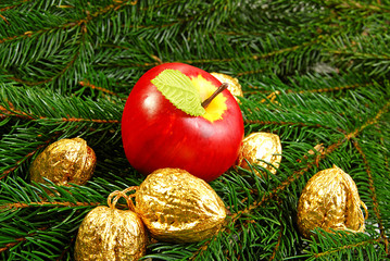 Apfel und goldene Nüsse zu Weihnacht