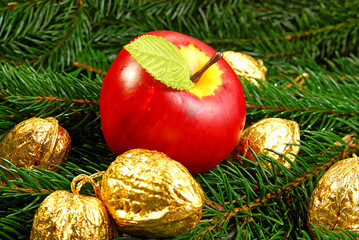 Apfel und goldene Nüsse