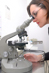 under the microscope