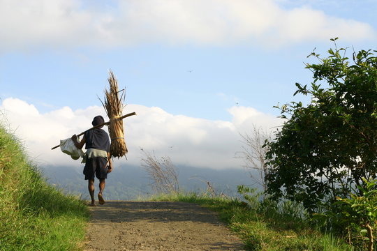 Le paysan