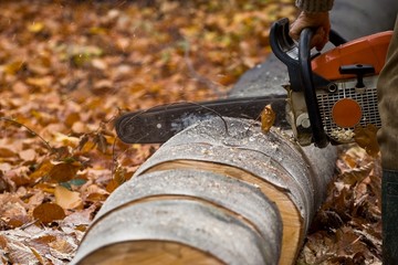 Lumber jack with chainsaw