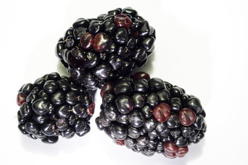 Blackberry 3 berries macro close-up with white background 2