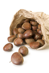Bag of chestnuts