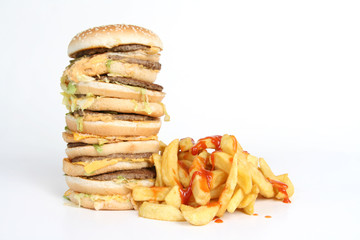 Burger and Fries