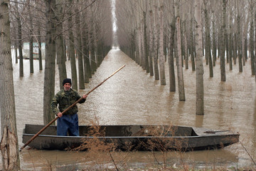 Flood 8