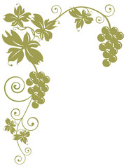 tralcio di vite con grappoli d'uva