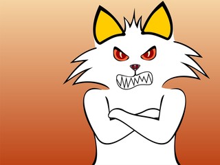 Furious kitty cat