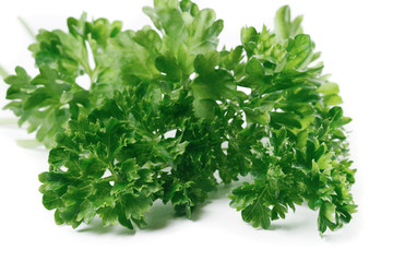 Parsley on white background