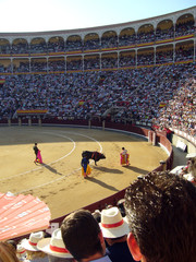Toros en Las Ventas