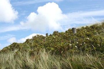 Landschaft