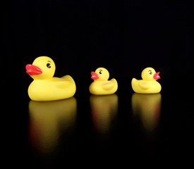 Three Rubber Duckies