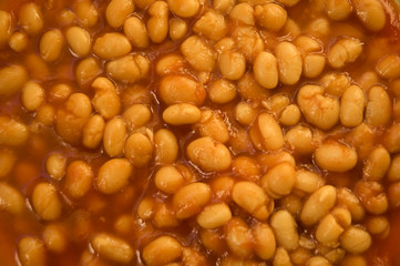 Beans Close up