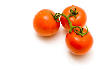 Tomatoes on the vine