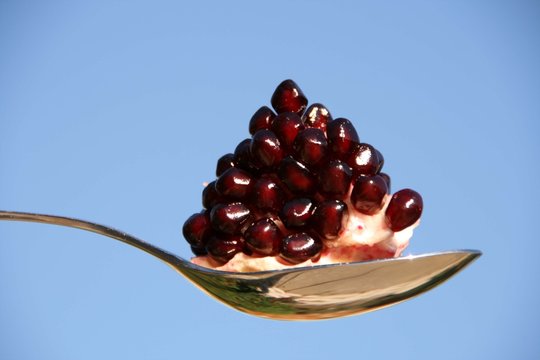 pomegranate
